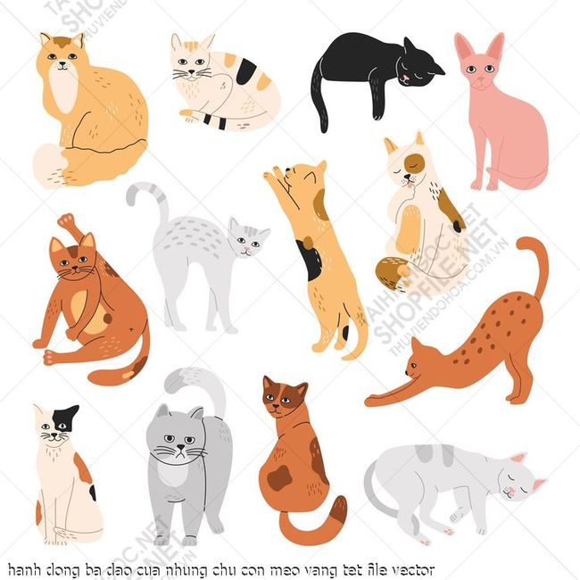hanh dong ba dao cua nhung chu con meo vang tet file vector